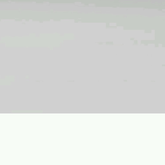 sammy_r123